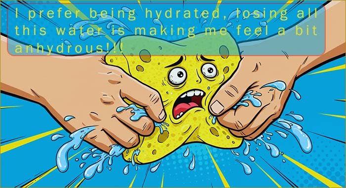 Image shows the meaning of the terms hydrated and anhydrous..